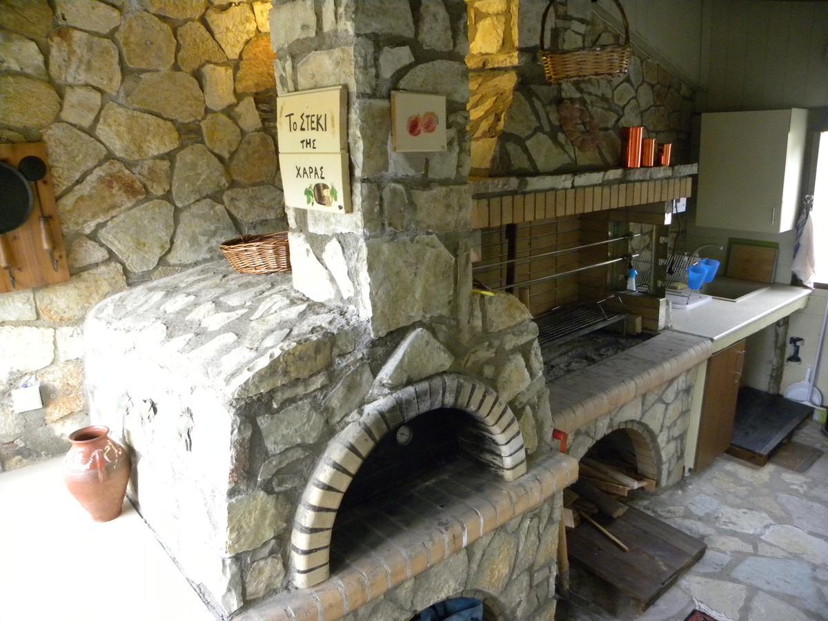 Mountain Chalet Livadi アラコバ エクステリア 写真