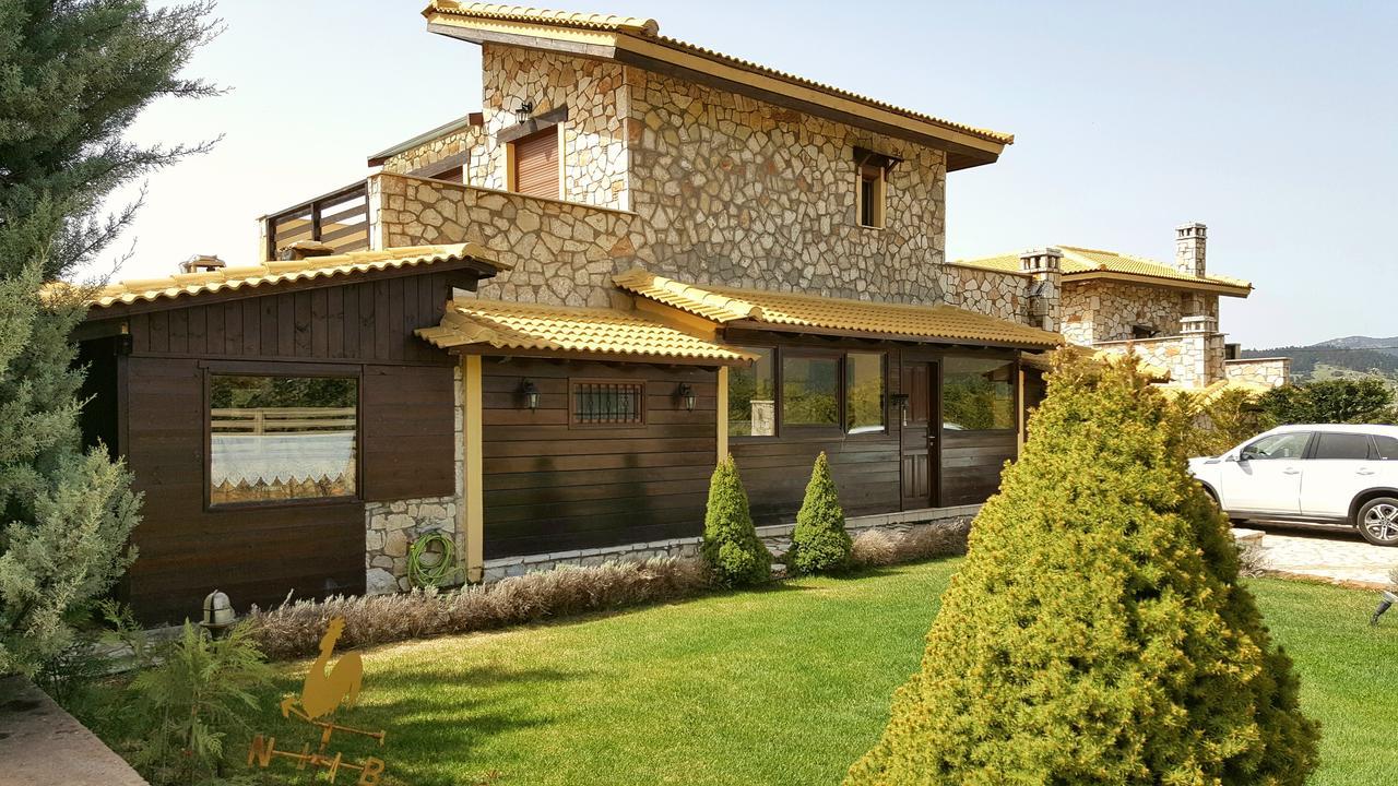 Mountain Chalet Livadi アラコバ エクステリア 写真